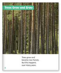 Timber! from Story World Real World