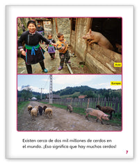 Todo sobre los cerdos from Mundo de los Cuentos Mundo Real