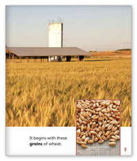 Who Made Our Breakfast? from Story World Real World