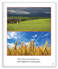 Who Made Our Breakfast? from Story World Real World