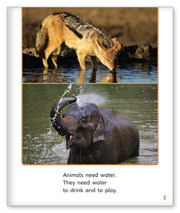 Who Needs Water? from Story World Real World