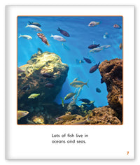 Who Needs Water? from Story World Real World