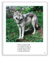 Wolves in the Wild from Story World Real World