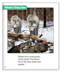 Wolves in the Wild from Story World Real World