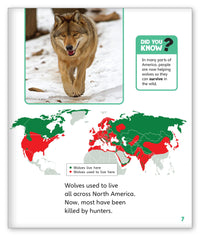 Wolves in the Wild from Story World Real World