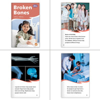 Human Body Theme Set (6-Packs)