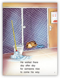 Hurricane Dog from Kaleidoscope Collection