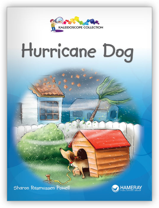 Hurricane Dog from Kaleidoscope Collection