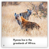 Hyena Big Book