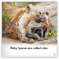 Hyena Big Book