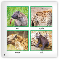 Hyena Big Book