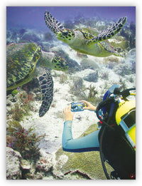 I Want To Be A Scuba Diver from Kaleidoscope Collection