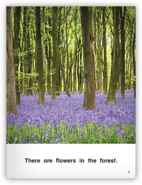 In the Forest Leveled Book