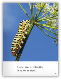 In the Garden from Kaleidoscope Collection