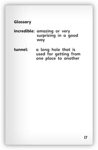 Incredible Ants Big Book from Fables & the Real World