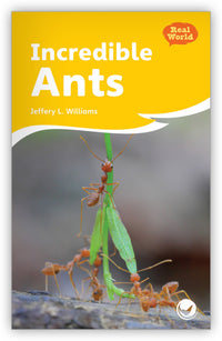 Incredible Ants Big Book from Fables & the Real World