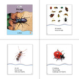 Insects & Spiders Theme Set (6-Packs)