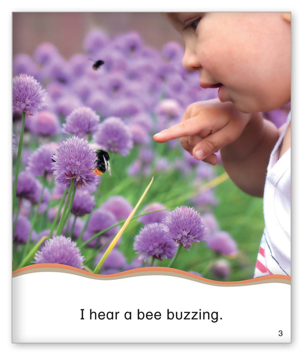 Insects That Buzz