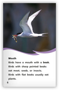 Is It a Bird or a Bat? from Fables & the Real World