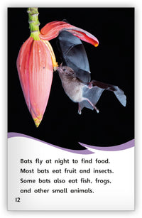 Is It a Bird or a Bat? from Fables & the Real World