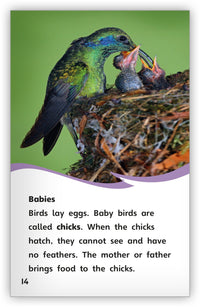 Is It a Bird or a Bat? from Fables & the Real World