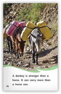 Is It a Donkey or a Horse? from Fables & the Real World
