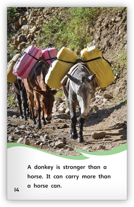 Is It a Donkey or a Horse? from Fables & the Real World