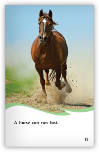 Is It a Donkey or a Horse? from Fables & the Real World