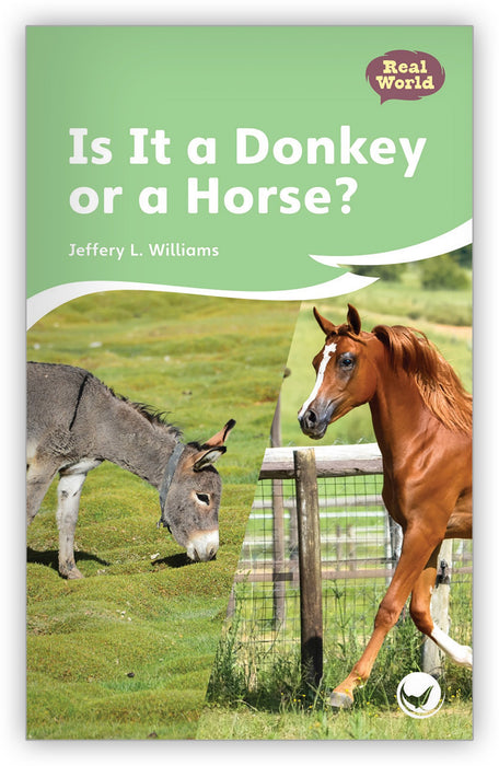 Is It a Donkey or a Horse? Big Book from Fables & the Real World
