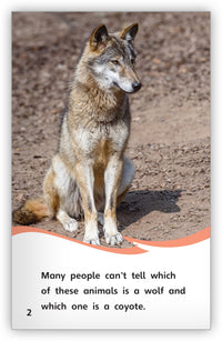 Is it a Wolf or a Coyote? from Fables & the Real World