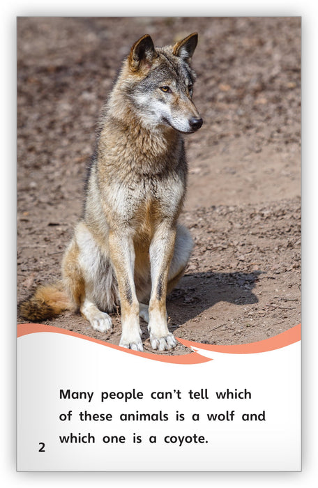 Is it a Wolf or a Coyote? from Fables & the Real World