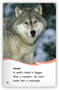 Is it a Wolf or a Coyote? from Fables & the Real World