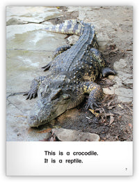 It Is a Reptile Big Book Leveled Book