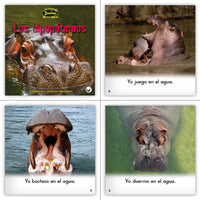 K-2 Spanish Nonfiction Set (6-Packs)