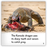 Komodo Dragon from Zoozoo Animal World