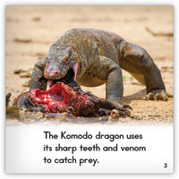 Komodo Dragon from Zoozoo Animal World