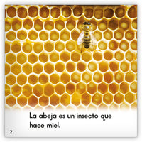 La abeja Leveled Book