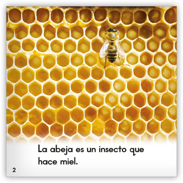 La abeja from Zoozoo Mundo Animal