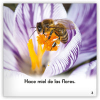 La abeja Leveled Book