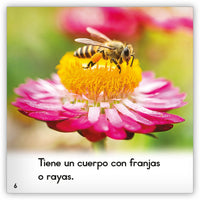 La abeja from Zoozoo Mundo Animal