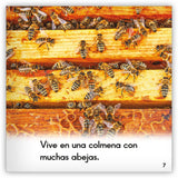 La abeja from Zoozoo Mundo Animal