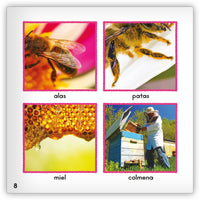 La abeja from Zoozoo Mundo Animal