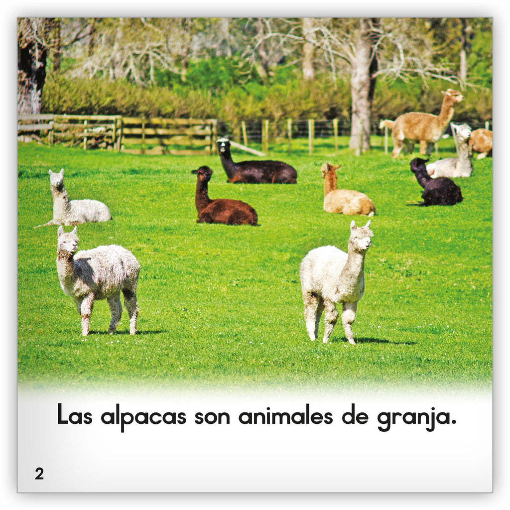 La alpaca - Zoozoo Mundo Animal - Hameray Publishing