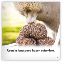 La alpaca from Zoozoo Mundo Animal