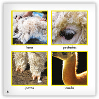 La alpaca from Zoozoo Mundo Animal