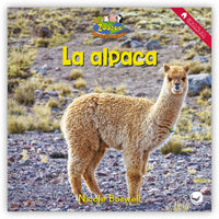 La alpaca from Zoozoo Mundo Animal