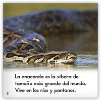 La anaconda