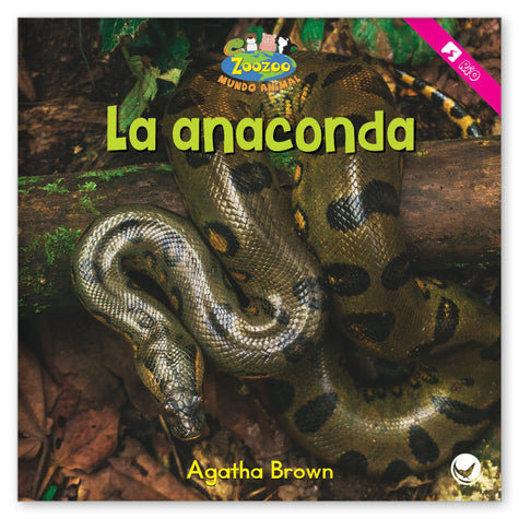 La anaconda from Zoozoo Mundo Animal