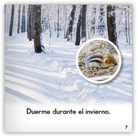 La ardilla listada from Zoozoo Mundo Animal