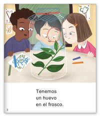 ¡La asombrosa mariposa!